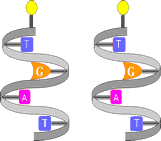 fig3