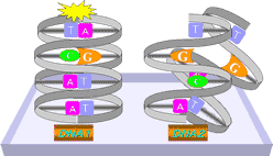fig4