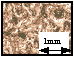 fig6