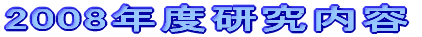 2008年度研究内容