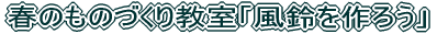 ssstFX^2009